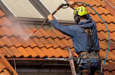 Démoussage et hydrofuge de toiture à Soulaires